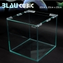 BLAU [20 cube][배송가능]