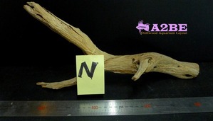 Drift wood - N1 