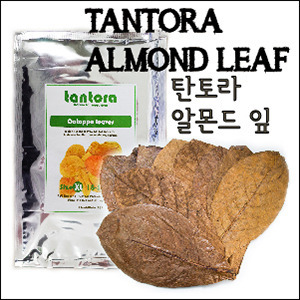 탄토라 나노 알몬드 잎 18~30cm(Tantora Catappa Leaves , Size 18-30 cm. 10 Leaves/Bag) - 자연수로 바꾸어주는 신비의 피트머스