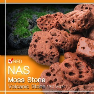 NAS 모스 스톤 레드 [모스활착용 화산석] 2kg