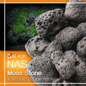 NAS 모스 스톤 블랙 [모스활착용 화산석] 4kg