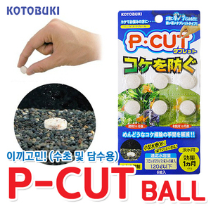고토부키 P-CUT BALL(타블릿타입)